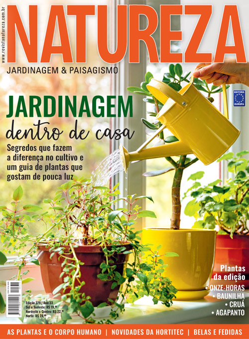 Revista Natureza - Edição 379