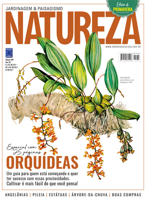 Revista Natureza - Edição 380