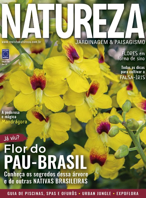 Revista Natureza - Edição 381