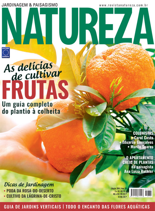 Revista Natureza - Edição 384