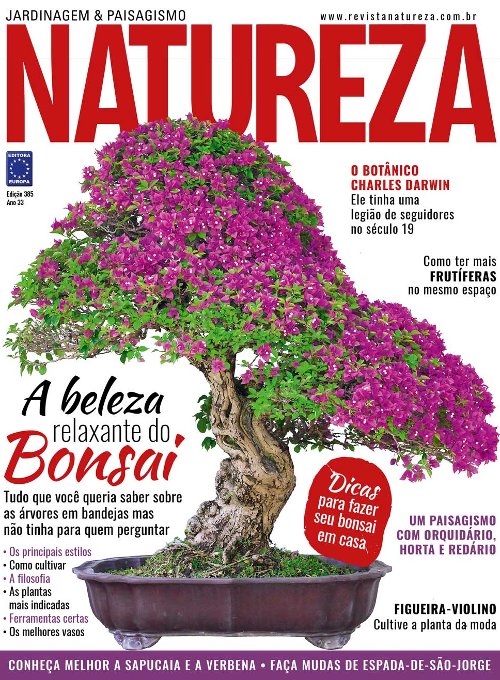 Revista Natureza - Edição 385