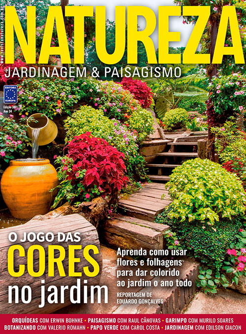 Revista Natureza - Edição 387