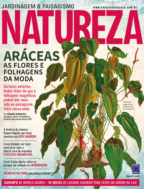 Revista Natureza - Edição 391