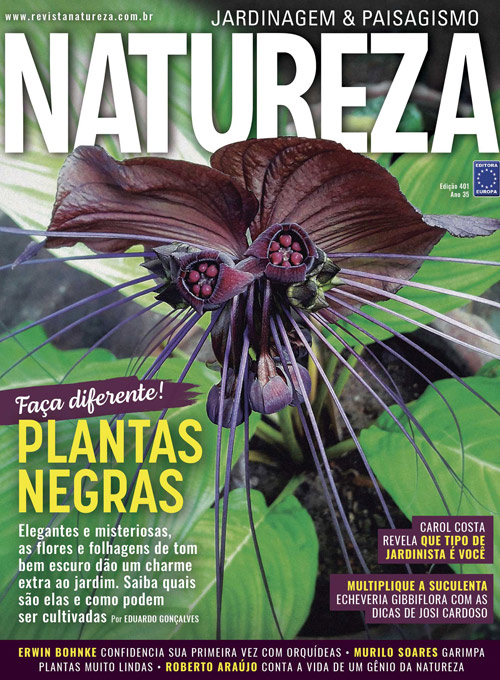 Revista Natureza - Edição 401