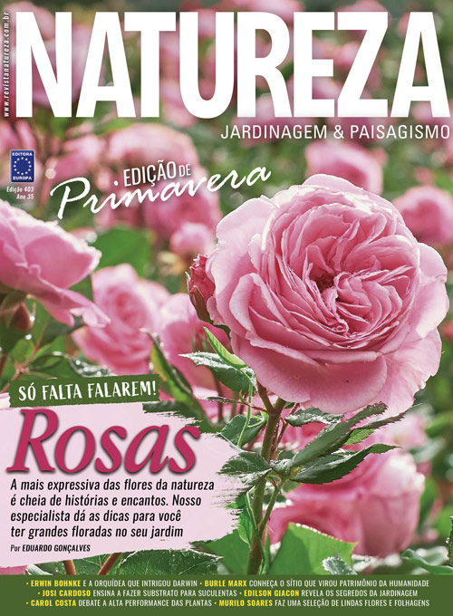 Revista Natureza - Edição 403