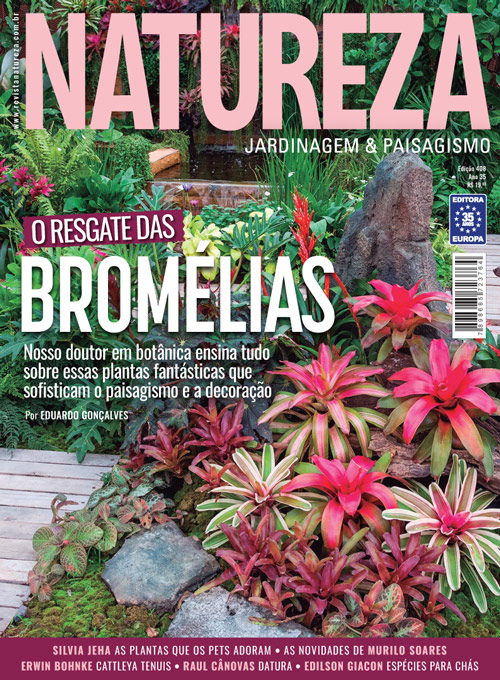 Revista Natureza - Edição 408