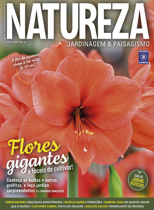 Revista Natureza - Edição 409