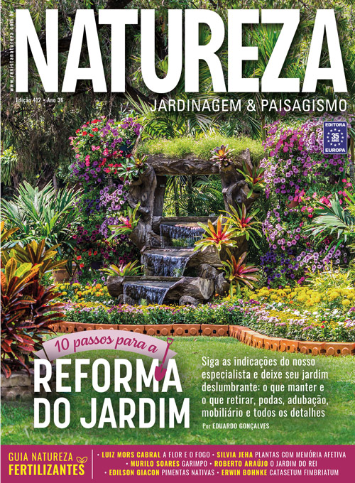 Revista Natureza - Edição 412