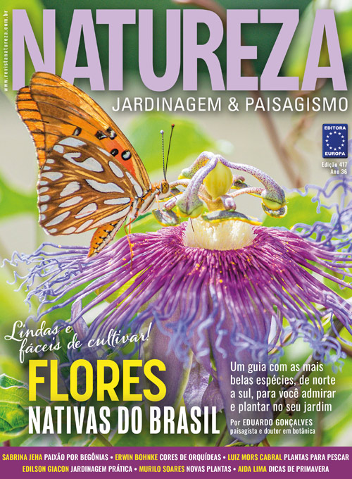 Revista Natureza - Edição 417