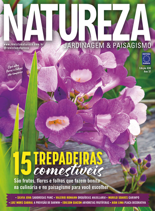 Revista Natureza - Edição 430