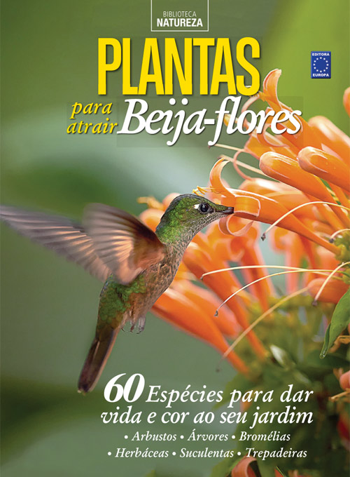 Especial Natureza - Plantas para atrair beija-flores