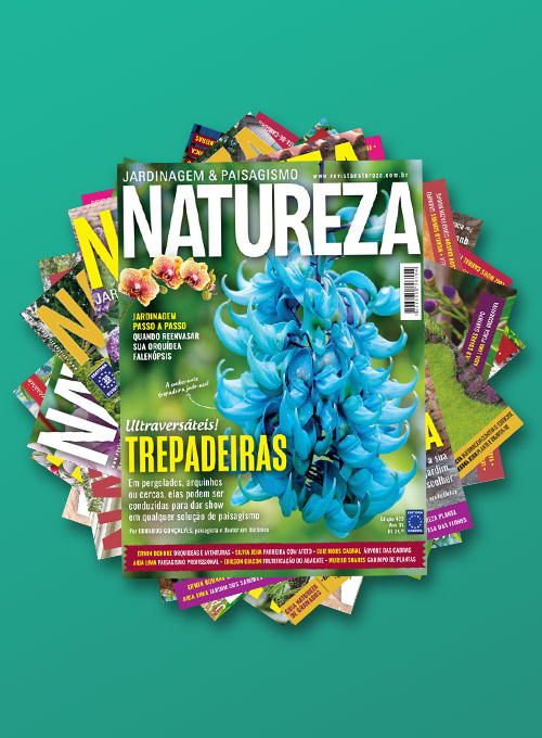 Super Kit Natureza - 10 Edições