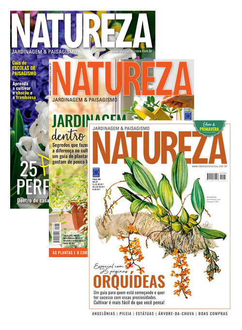 Edições de Colecionadores Revista Natureza (12 exemplares)