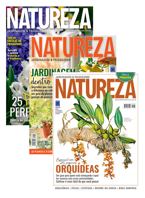 Kit Colecionador - Revista Natureza (6 exemplares)