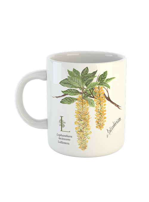 Caneca Flores Nativas do Brasil de A a Z - LETRA L