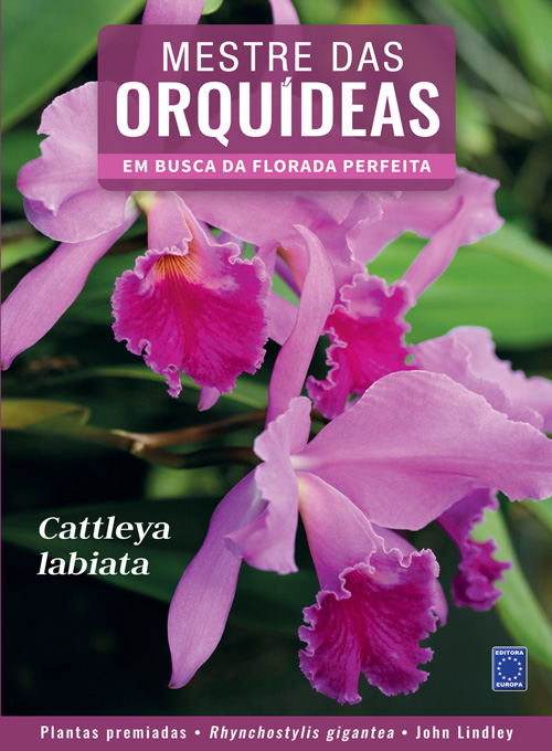 Mestre das Orquídeas - Volume 1: Cattleya labiata