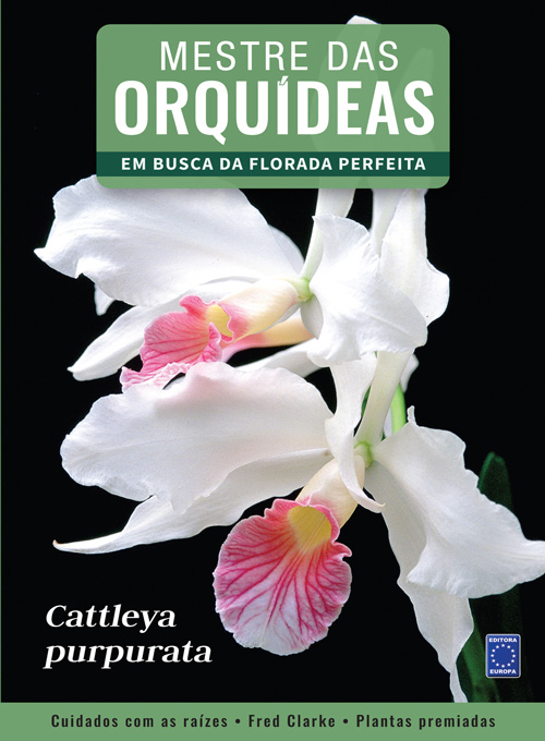 Mestre das Orquídeas - Volume 6: Cattleya purpurata