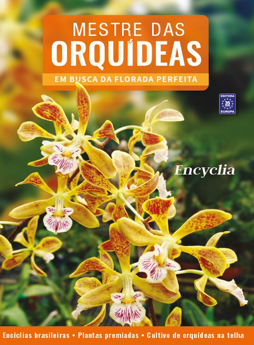 Mestre das Orquídeas - Volume 7: Encylia