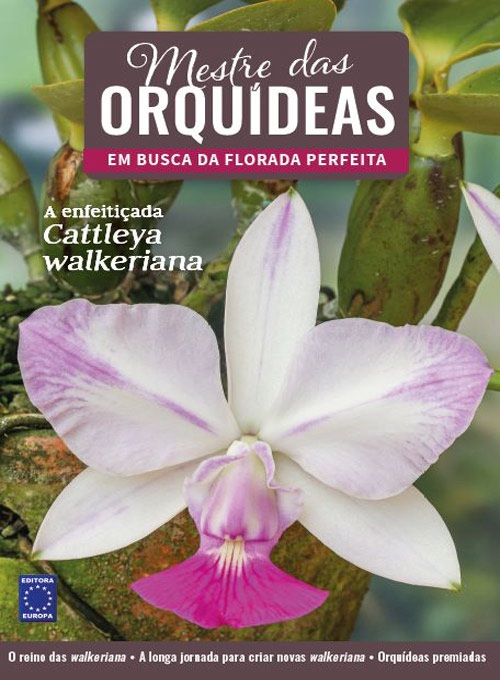 Mestre das Orquídeas - Volume 15: A enfeitiçada Cattleya walkeriana