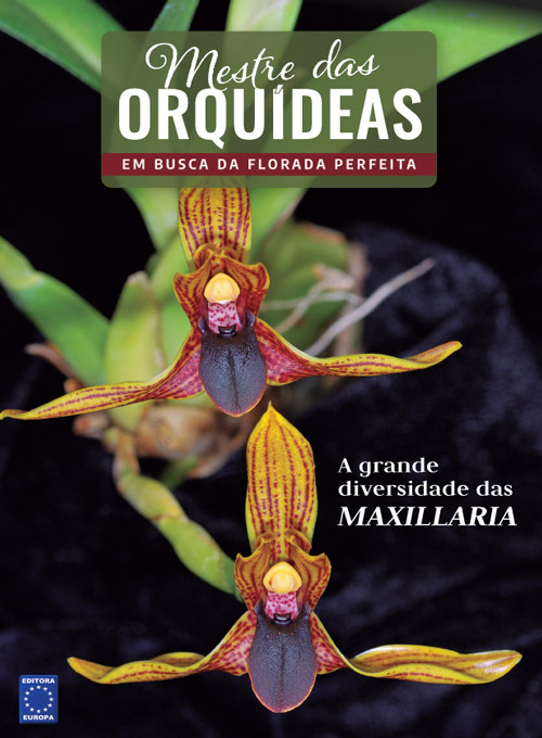 Mestre das Orquídeas - Volume 18: A grande diversidade das Maxillaria