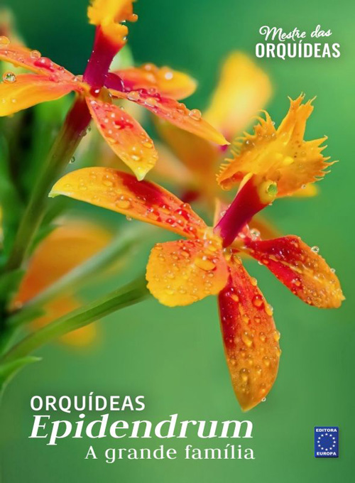 Mestre das Orquídeas - Volume 25: Orquídeas Epidendrum