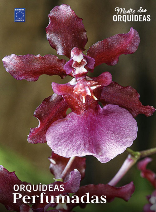 Mestre das Orquídeas - Volume 28: Orquídeas Perfumadas