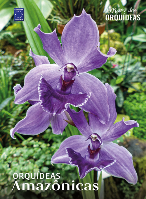 Mestre das Orquídeas - Volume 29: Orquídeas Amazônicas