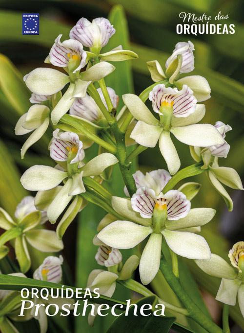 Mestre das Orquídeas - Volume 30: Orquídeas Prosthechea