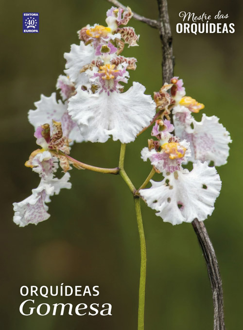 Mestre das Orquídeas - Volume 32: Orquídeas Gomesa