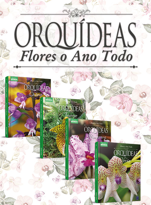 Coleção Esmeralda: Flores o Ano Todo - 4 volumes