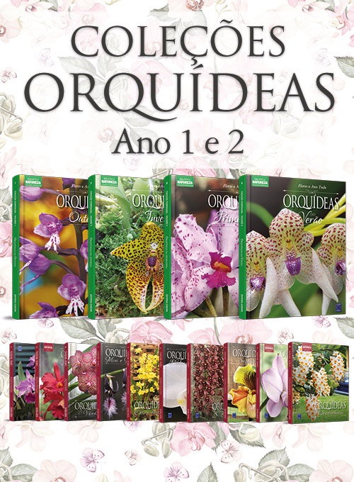 Coleção Orquídeas Ano 1 + Ano 2 - 14 volumes