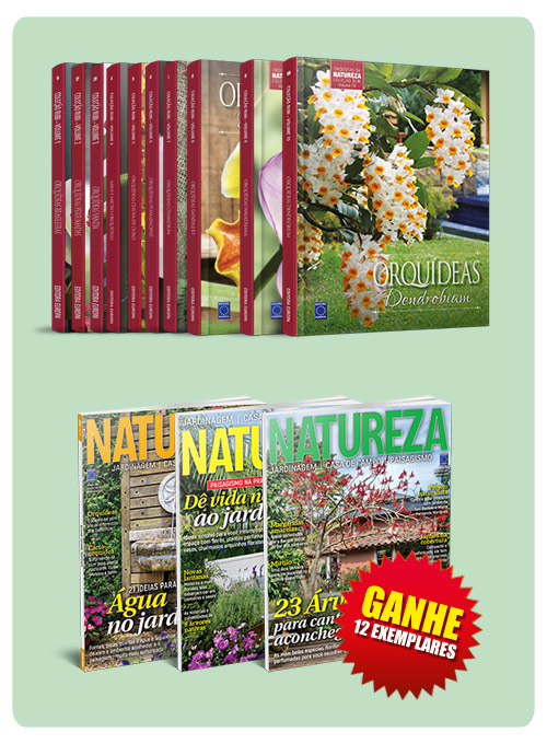Coleção Rubi: Orquídeas da Natureza + Brinde: Assinatura Natureza 12 exemplares