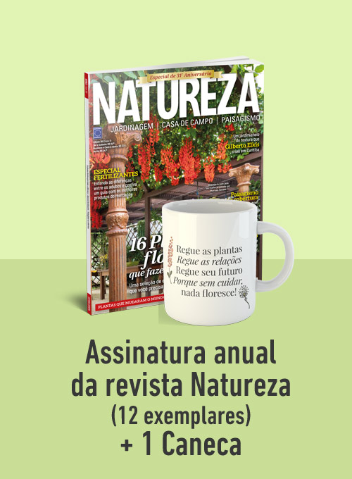 Assinatura anual da revista Natureza (12 exemplares) + Caneca