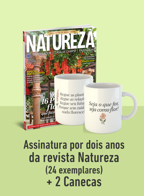 Assinatura por dois anos da revista Natureza (24 exemplares) + 2 Canecas