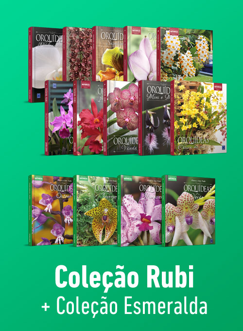 Coleção Orquídeas Rubi + Coleção Esmeralda