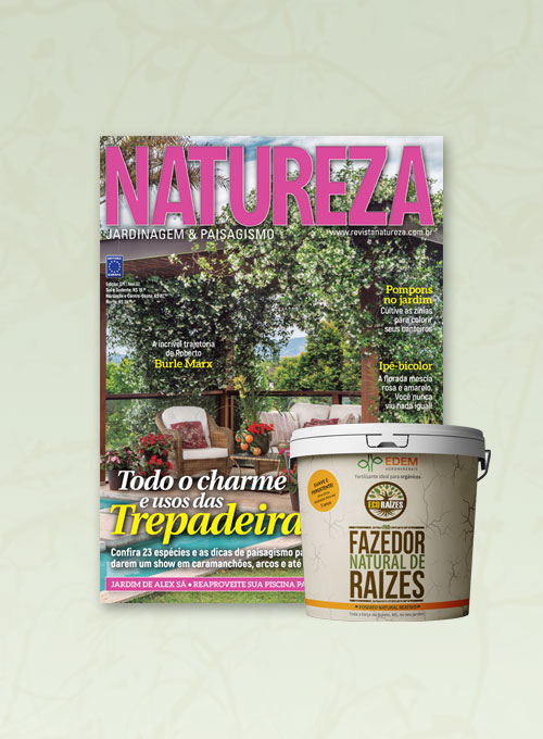 Assinatura Revista Natureza + Brinde: Fazedor Natural de Raízes