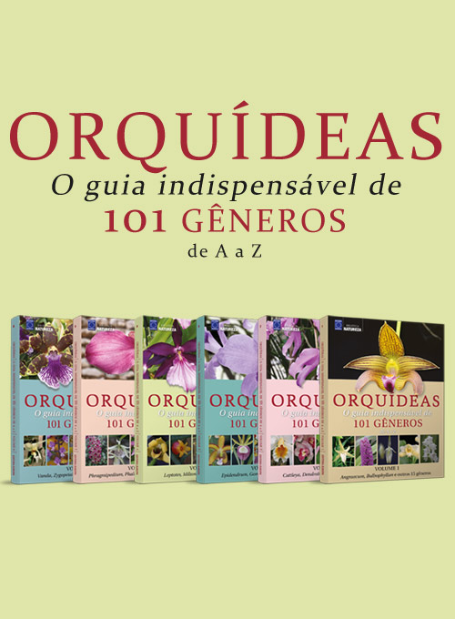 Coleção Orquídeas - O Guia Indispensável de 101 Gêneros de A a Z (6 Volumes)