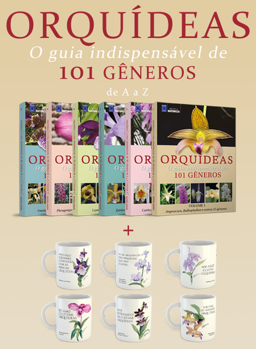 Coleção Orquídeas - O Guia Indispensável de 101 Gêneros de A a Z (6 Volumes) + 6 Canecas