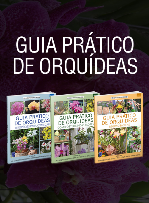 Coleção Guia Prático de Orquídeas - 3 Volumes