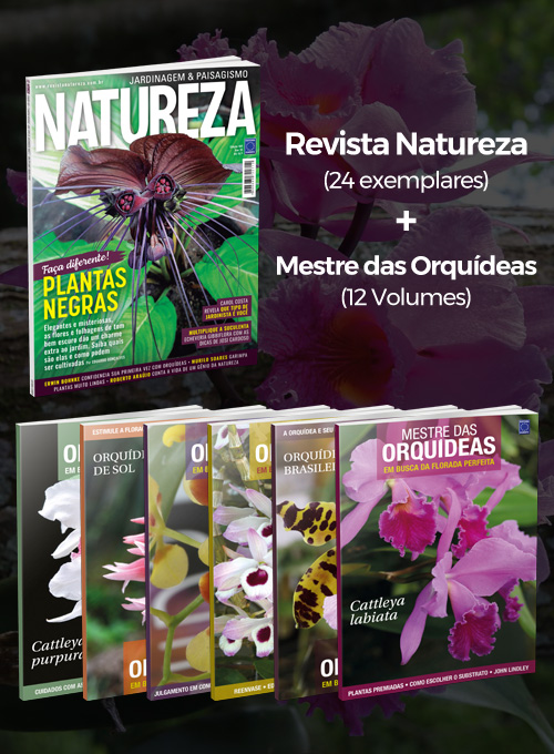 Assinatura Revista Natureza + Mestre das Orquídeas