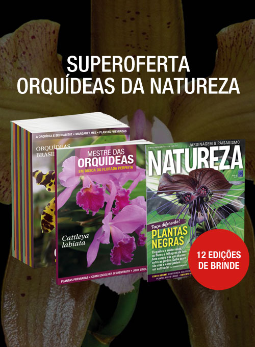 Mestre das Orquídeas + Assinatura Revista Natureza