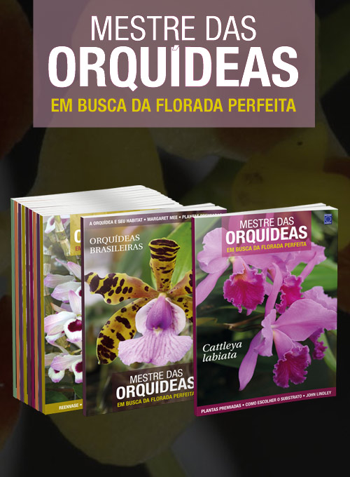 Mestre das Orquídeas - Volume 13 ao 24