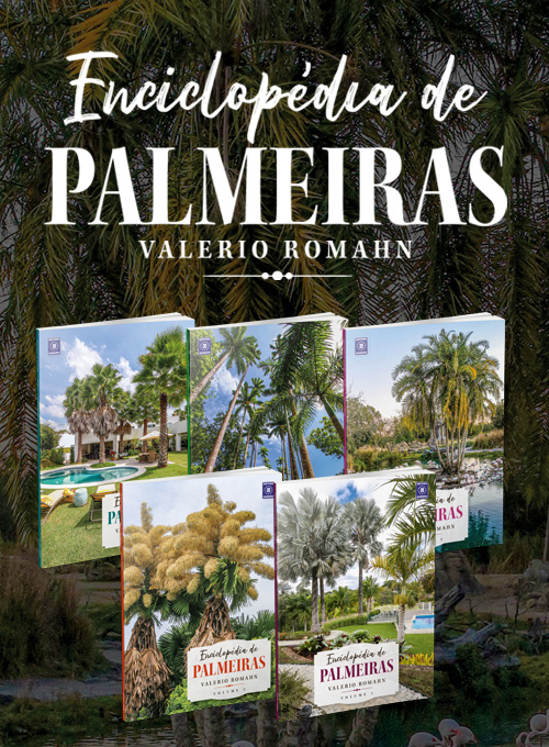 Enciclopédia de Palmeiras - 5 Volumes