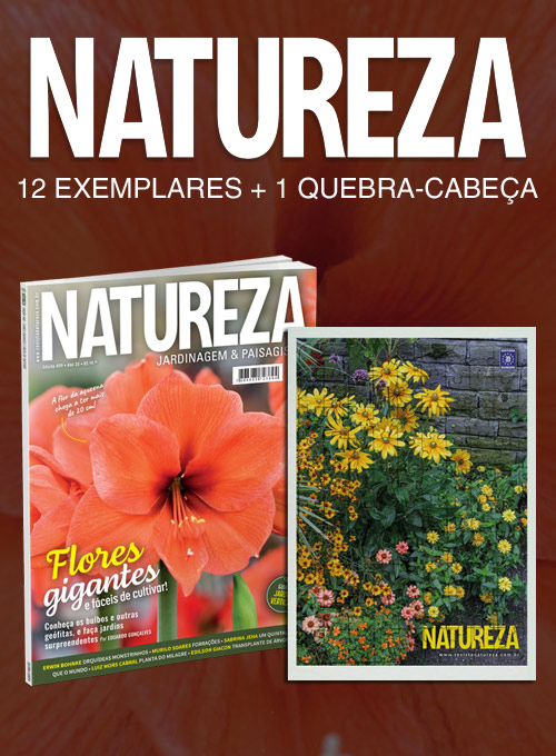 Assinatura/Renovação Revista Natureza + 1 Quebra-Cabeça