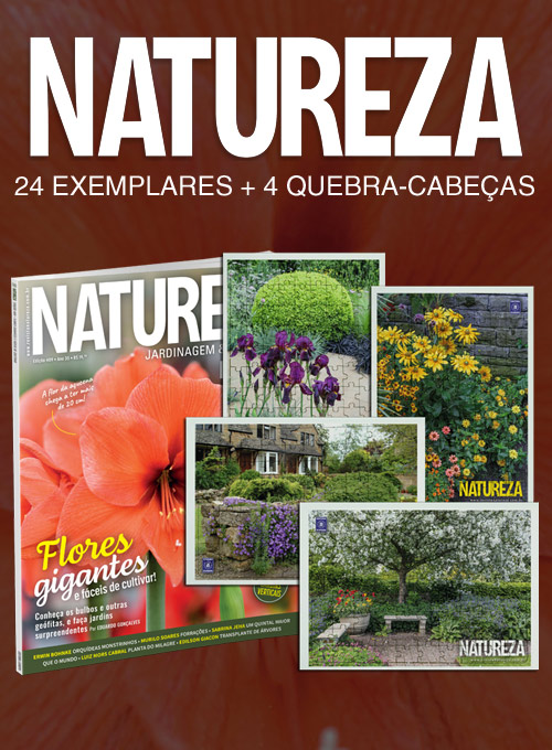 Assinatura/Renovação Revista Natureza + 4 Quebra-Cabeça