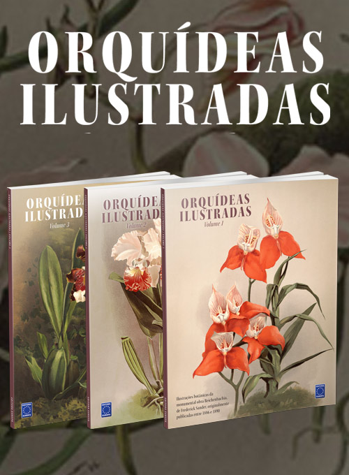 Coleção Orquídeas Ilustradas - 3 Volumes