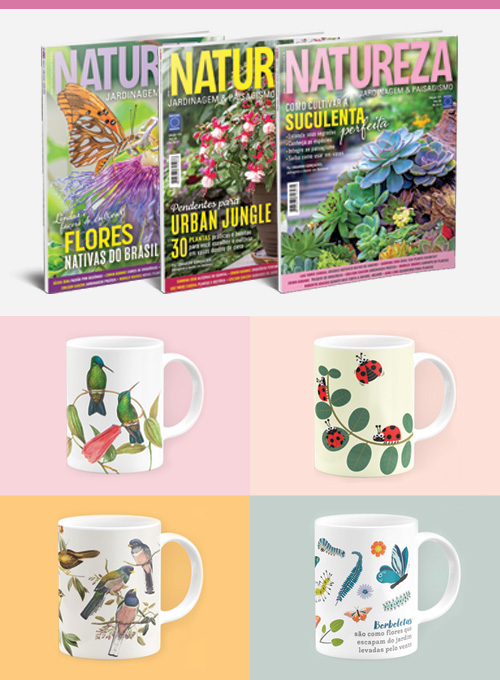 Assinatura Revista Natureza (24 exemplares) + 4 Canecas Bichinhos do Jardim