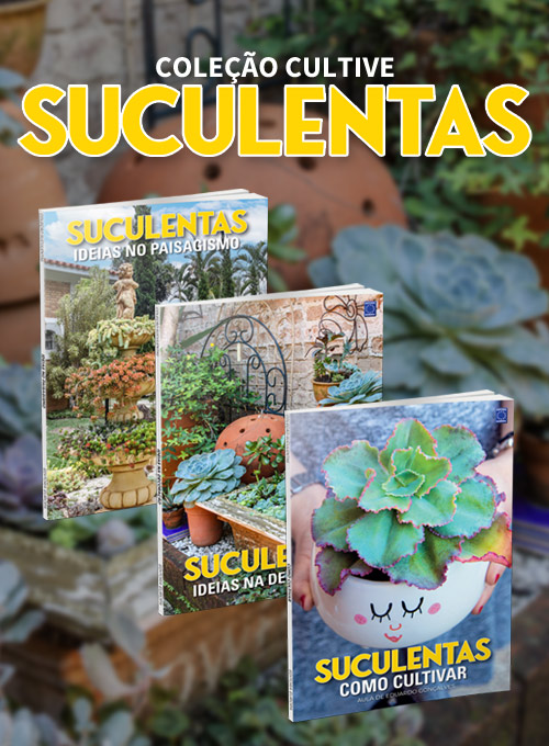 Coleção Cultive Suculentas - 3 Volumes