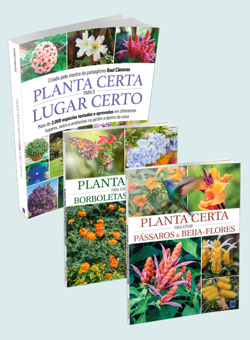 Super Kit - Planta Certa Para o Lugar Certo