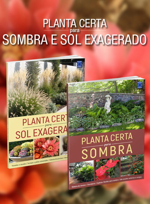 Coleção Planta Certa para Sombra e Sol Exagerado